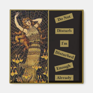 Do Not Disturb Vintage Lady Gold Black Spider Web Magnet