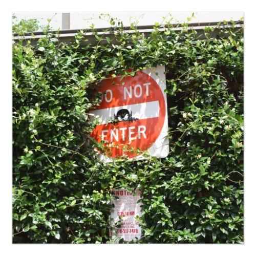 Do Not Enter Photo Print