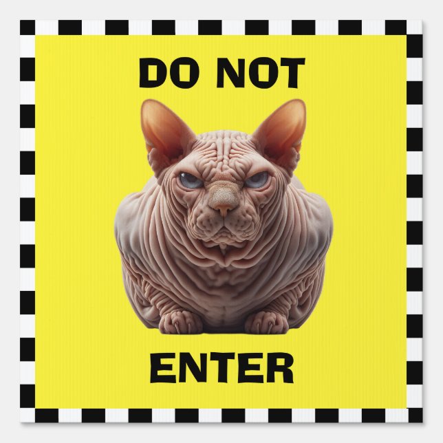 Do Not Enter Sign (Front)