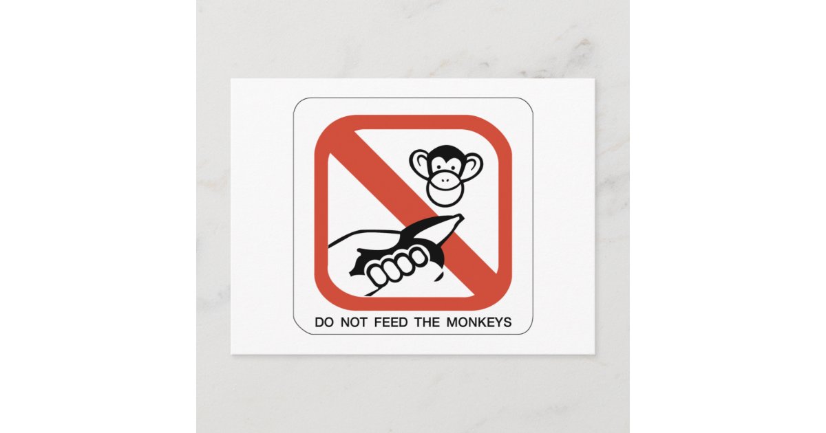 Do Not Feed The Monkey I Postcard Zazzle