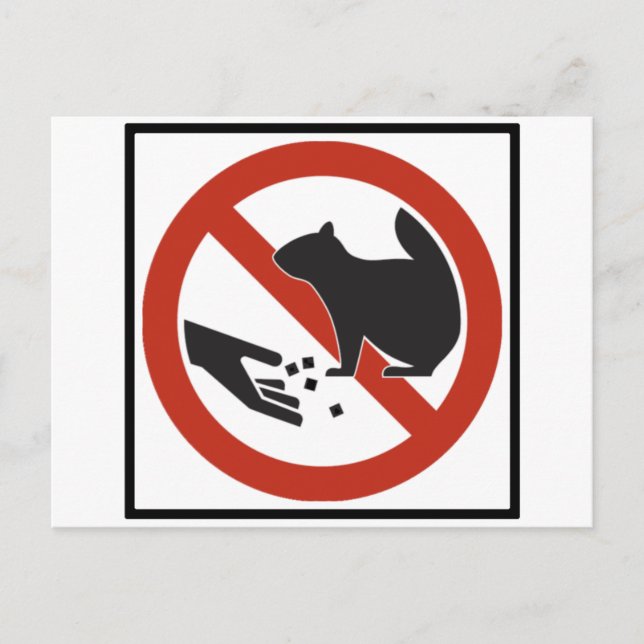 Do Not Feed the Squirrels Highway Sign Postcard (Front)