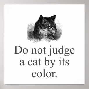 Do Not Judge A Cat Poster