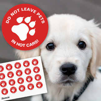 Do Not Leave Pets In Hot Cars With White Paw Classic Round Sticker