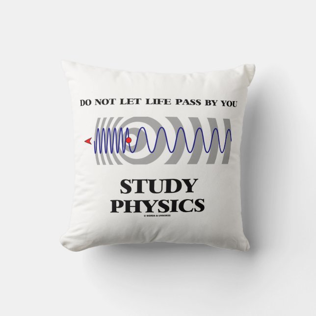 Do Not Let Life Pass By You Study Physics Throw Pillow (Front)