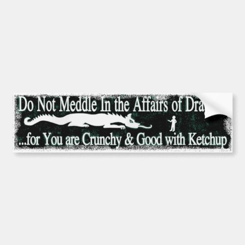 Do Not Meddle in the Affairs of Dragons Bumper Sticker