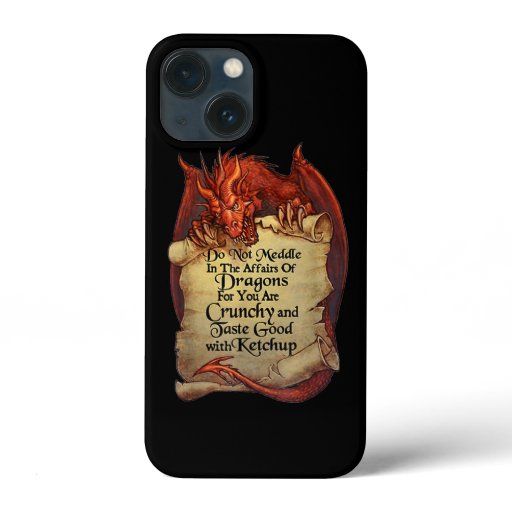 Do Not Meddle In The Affairs Of Dragons For You Ar iPhone 13 Mini Case