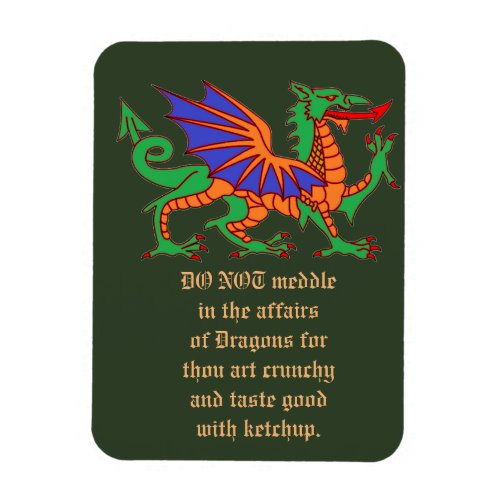 Do not meddle in the affairs of Dragons Magnet