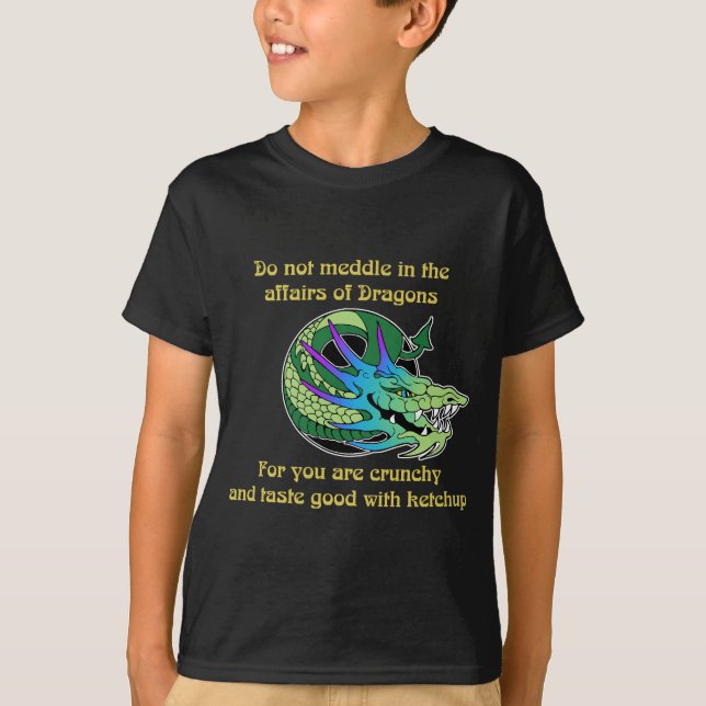 Do Not Meddle in the Affairs of Dragons T-Shirt (Front)