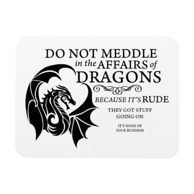 Do Not Meddle With Dragons Flexible Photo Magnet (Horizontal)