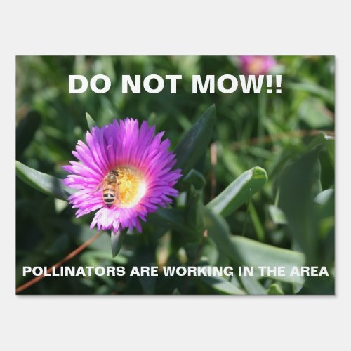 Do Not Mow _ Honey Bee Photo Yard Sign