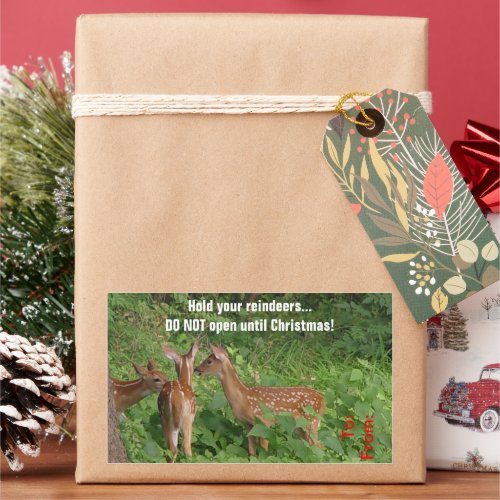 Do Not Open Until Christmas Deer Gift Tag Sticker