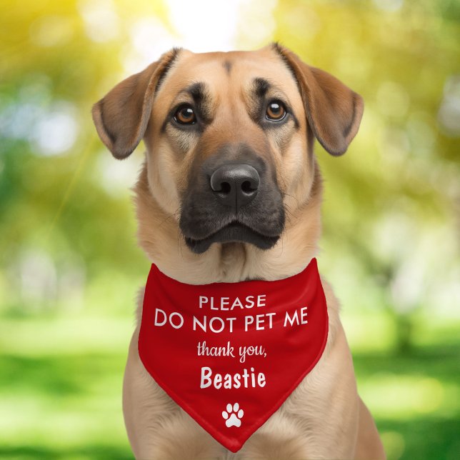 Do Not Pet Red Dog Bandana Collar (Creator Uploaded)