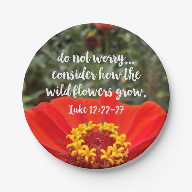 Do Not Worry Consider Wild Flowers Christian Bible Paper Plates (Front)