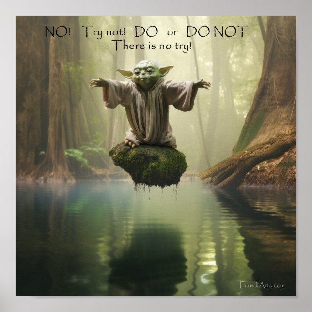 DO or DONT Poster (Front)