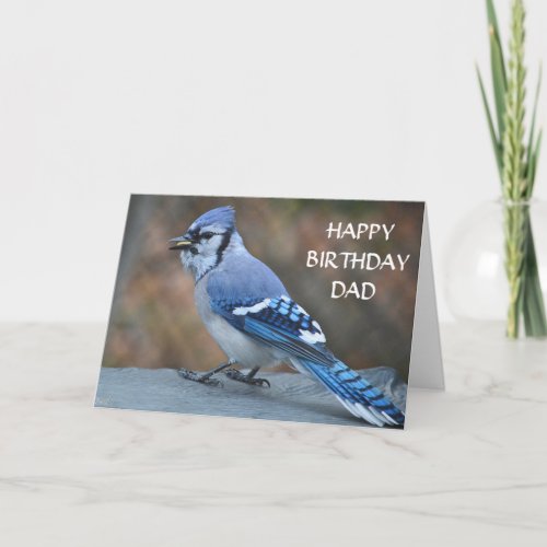 DO SOME BIRDWATCHING ON BIRTHDAY DAD CARD