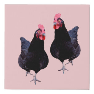 Do The Black Chickens Strut, Faux Canvas Print