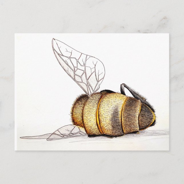 Do we even care? holiday postcard (Front)