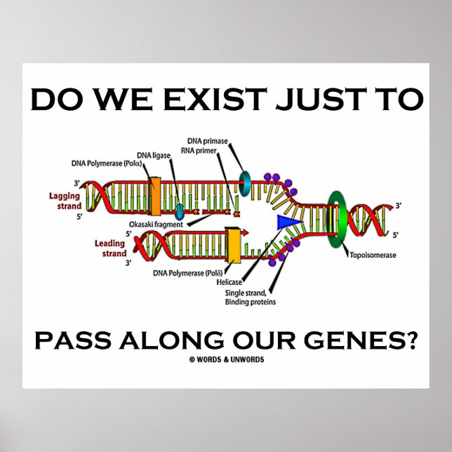 Do We Exist Just To Pass Along Our Genes? Poster (Front)