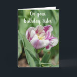 DO WHAT MAKES YOU "HAPPY" ON BIRTHDAY *SISTER* CARD<br><div class="desc">I KNOW HOW HARD IT IS TO TAKE A DAY OFF FROM "BEING A WOMAN SOMETIMES" BUT IT IS ***HER DAY*** LET HER KNOW SHE SHOULD DO WHATEVER ***MAKES YOUR SISTER THE  HAPPIEST*** AND THANK YOU FOR STOPPING BY 1 OF MY 8 STORES!</div>