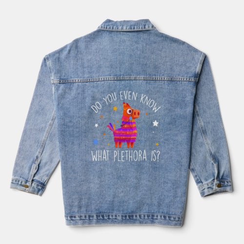 Do You Even Know What Plethora Is Decorated Piata Denim Jacket