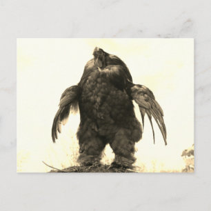 Do You Even Lift, Bro? - Postcard