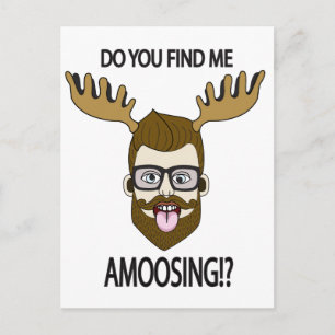 Do you fine me amoosing!? postcard