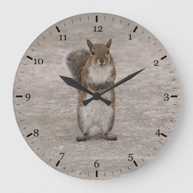 Do you have some nuts? large clock (Front)