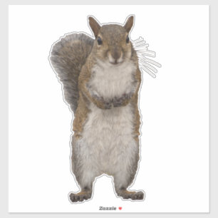 Do you have some nuts? sticker