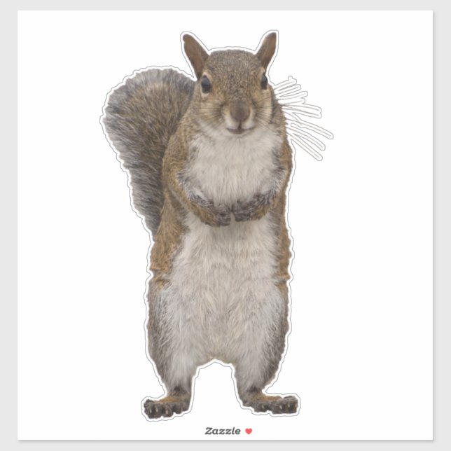 Do you have some nuts? sticker (Sheet)