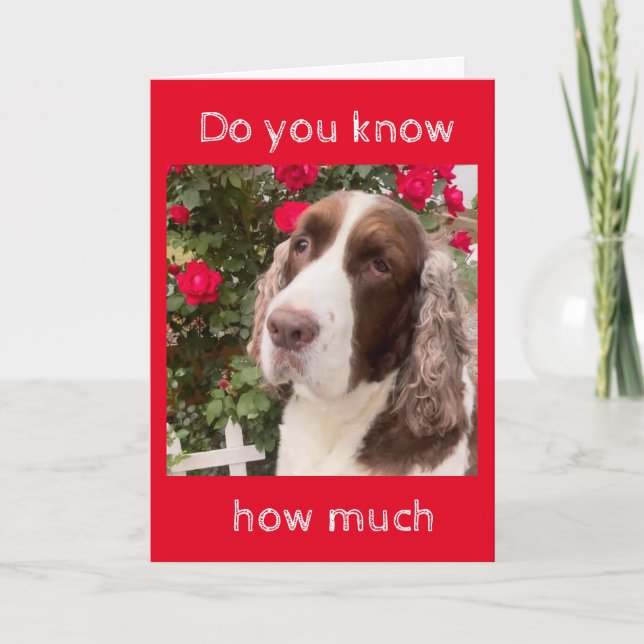 DO YOU KNOW HOW MUCH ***I LOVE YOU*** CARD (Front)