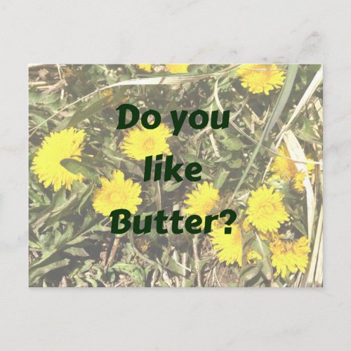 Do you like butter  Dandelions fun postcard