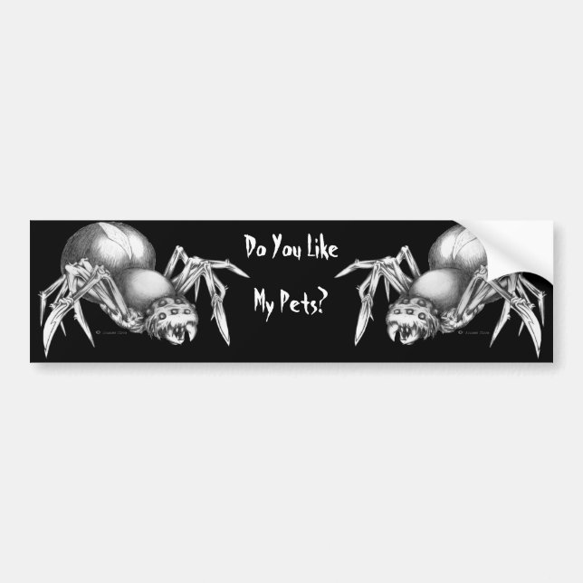 Do You Like My Pet...Spiders? Bumper Sticker (Front)