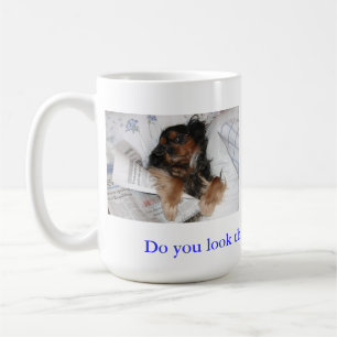 Do You Look This Good Cavalier King Charles Mug