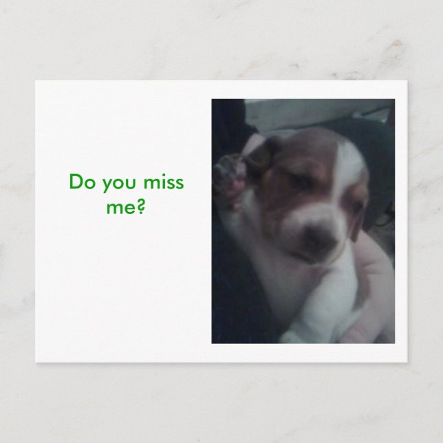 Do you miss me? postcard (Front)