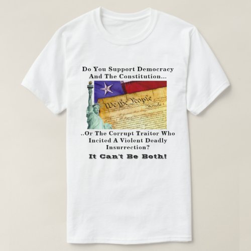 Do You Support Democracy And The Constitution T_Shirt