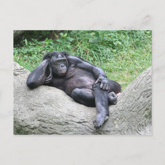 Do you think I'm sexy? Postcard