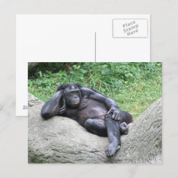 Do you think I'm sexy? Postcard | Zazzle