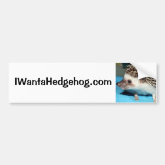 Do You Want a Hedgehog? Bumper Sticker