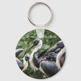 Do You Zoo? Straw-necked Ibis Keychain
