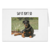 DOBERMAN "5Oth" HUMOR (Front Horizontal)
