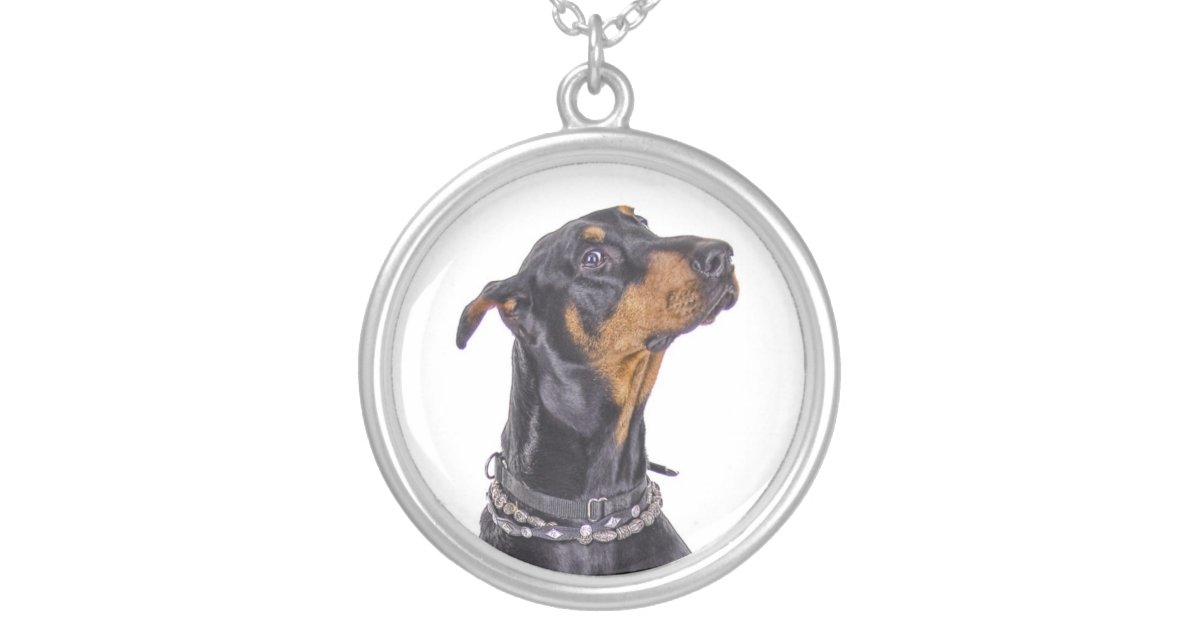 Recommended Products: Our Dobie-Perfect Picks - Doberman Planet