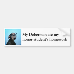 Doberman and honor student humor bumper sticker