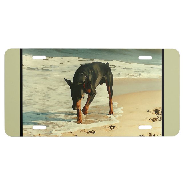 Doberman at the Beach Painting Image License Plate (Front)