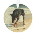 Doberman at the Beach Painting Image