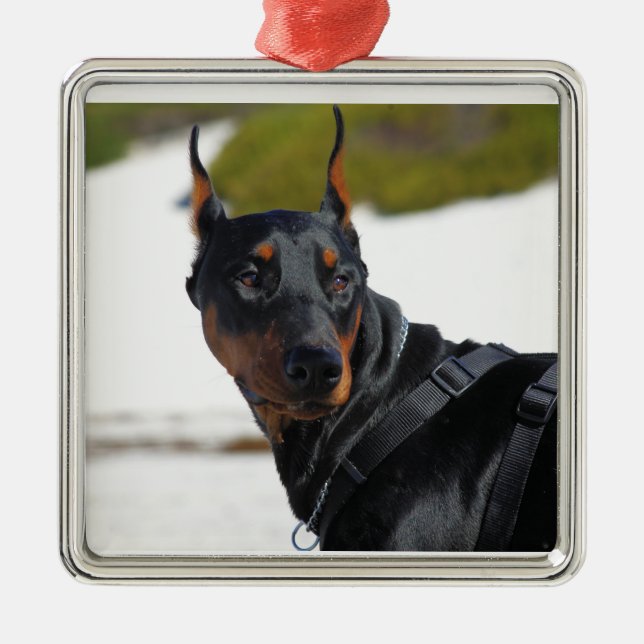 Doberman - Black - Bogie Metal Ornament (Front)