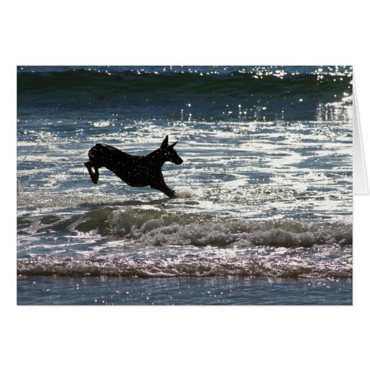Doberman - Black - Ocean Leap Cards (Front Horizontal)