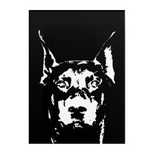 Doberman Black & White Acrylic Wall Art