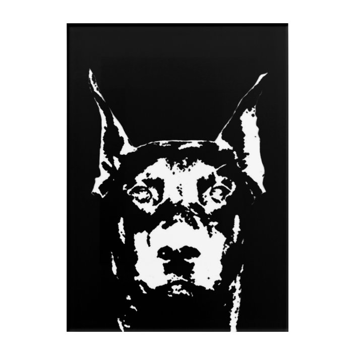 doberman black and white