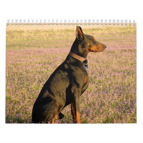 Doberman Calendar