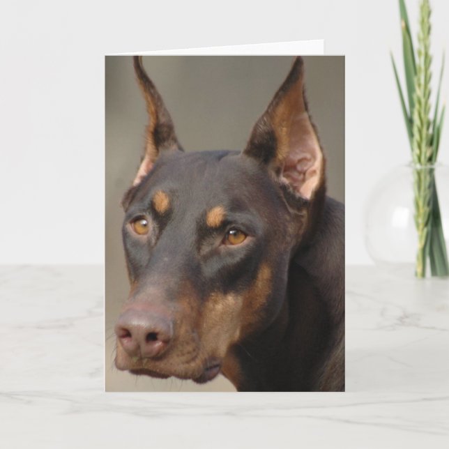 Doberman Card (Front)